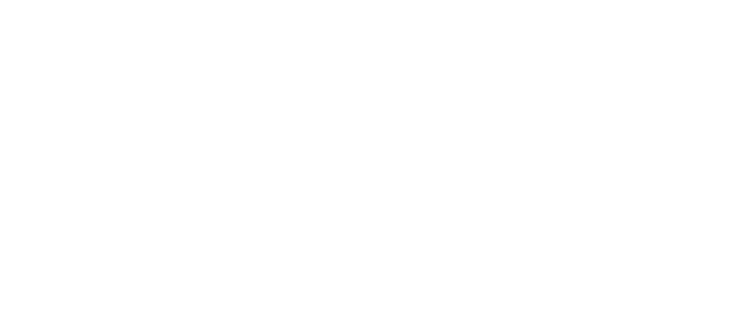 NESSCOINDIA logo
